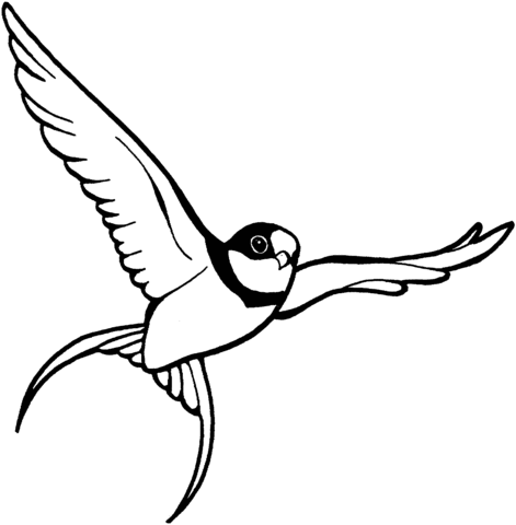 Flying Sparrow Coloring Page